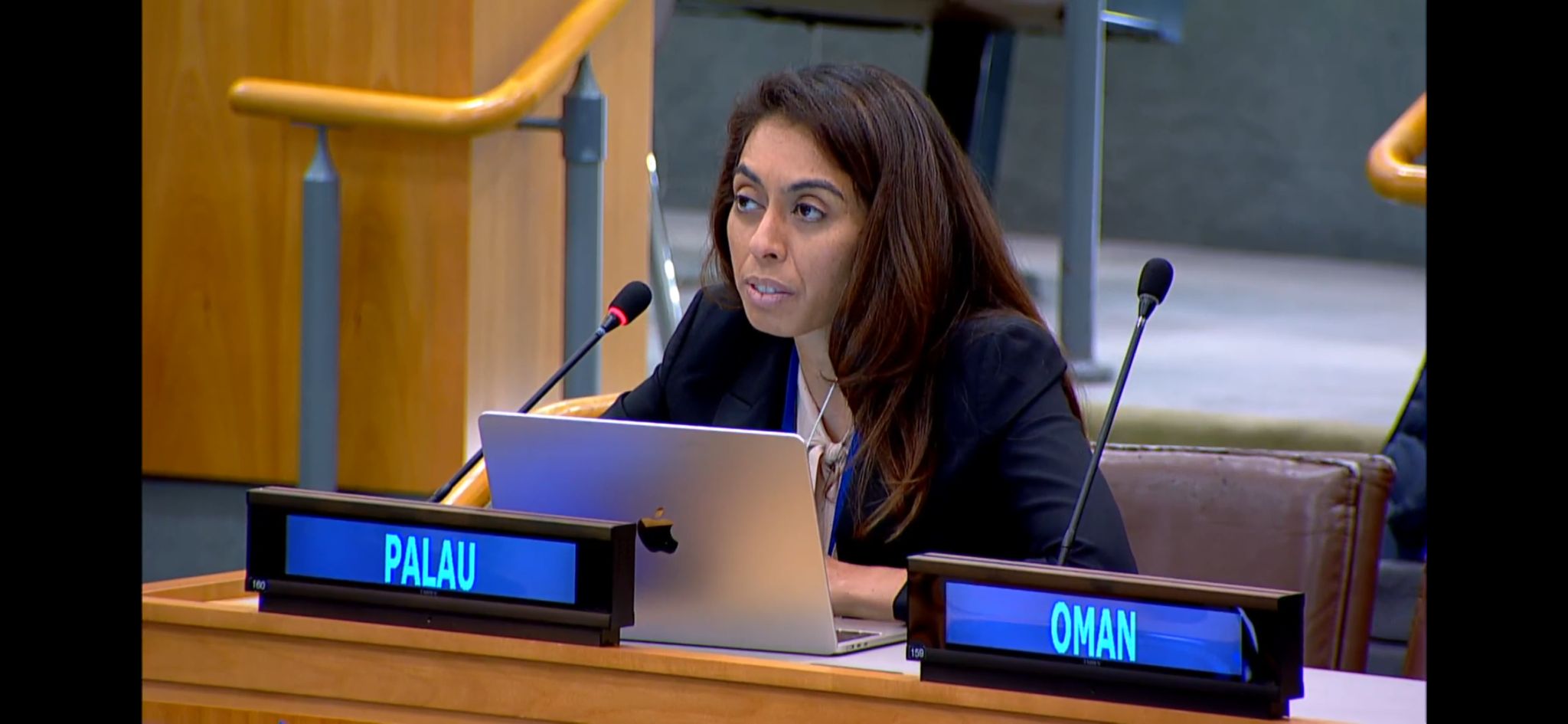 SIDS Partnership Steering Committee