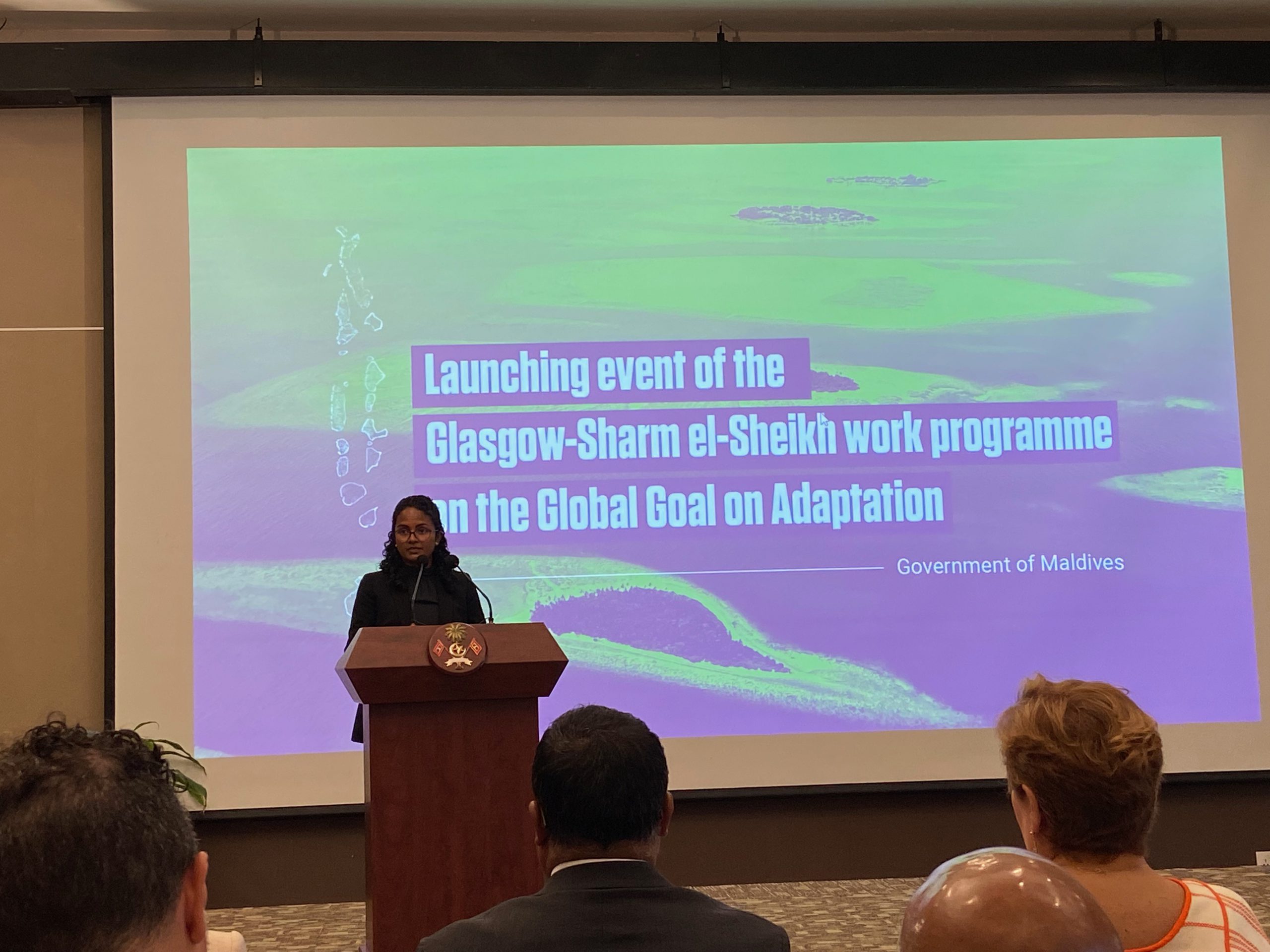 The race against time as 2030 looms