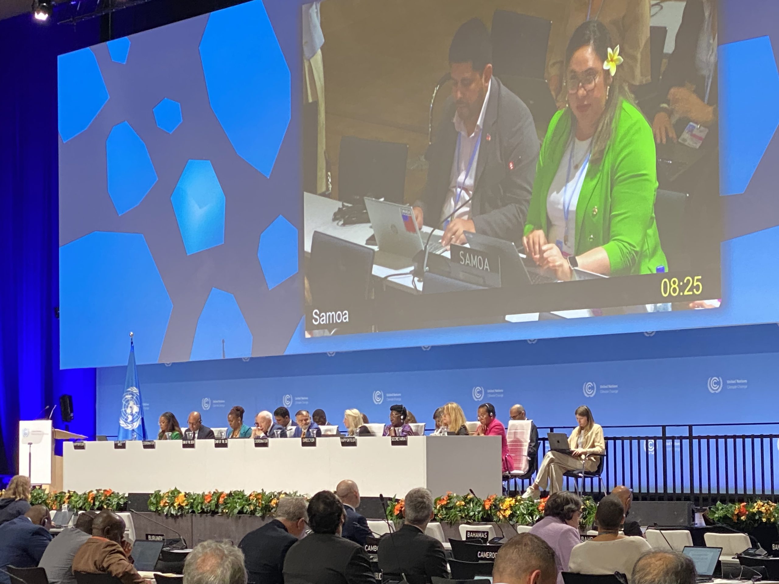 Islands Call for Big Action on Finance at Bonn